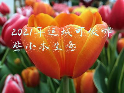 2021年运城可做哪些小本生意