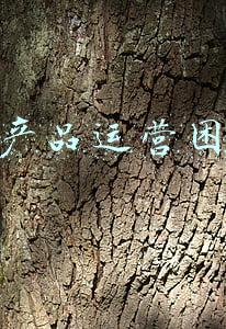 农产品营销存在的问题(变“爆发式”为“稳步式”，正视农村电商短板)