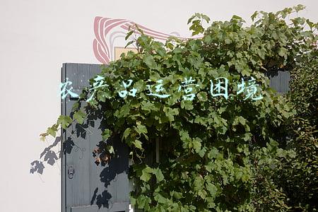 农产品困境(每天1亿个农村包裹：快递进村面临怎样的困境)