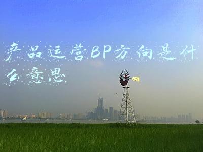 产品运营BP方向是什么意思