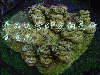 产品运营BP方向是什么意思