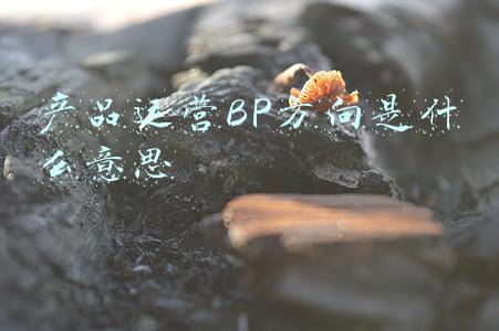 产品运营BP方向是什么意思