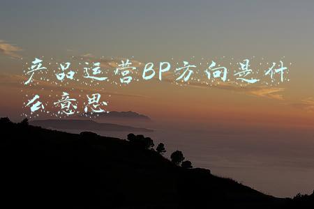 bpo运营什么意思(如何运营ota)
