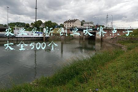 农业发展金点子(专家学者、企业代表为东方农业发展出金点子)