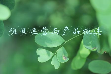 项目运营与产品概述