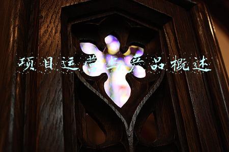 农产品项目概述(高质量发展项目观摩｜莘县构建农副产品精深加工产业全链条)