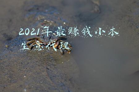 2021年最赚钱的项目(2021年很火爆的生意，3个月回本，最低年赚36万)