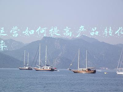 农产品加工转化率含义(农业农村部：力争到2025年农产品加工转化率提高到80%)