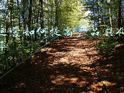 医美产品推广转化率(医美直播提升转化率的3种策略及4大步骤丨行业观察)