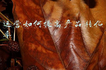 产品转化率计算公式(让产品转化率提高30%的增长实验，你get到了吗？)