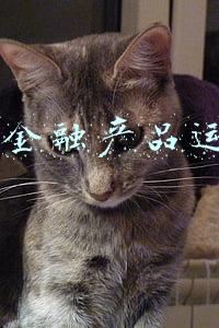 360金融官网首页(360金融)