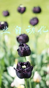 创新创业自动化类项目点子