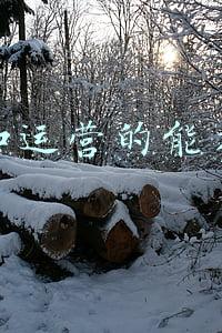 运营人员的能力模型(运营人必须知道的底层逻辑和思维模型2.0)