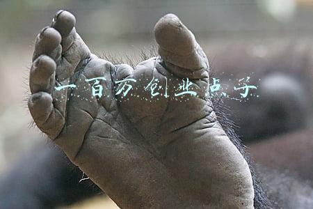 一百万个可能歌词(ring ring ring！洗脑歌单来啦！)