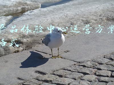 产品体验设计(如何设计一款用户体验好的产品？)