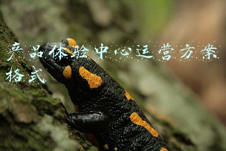 农产品分拣中心方案(打造农产品分拣配送项目，可降低分拣配送成本约30%)