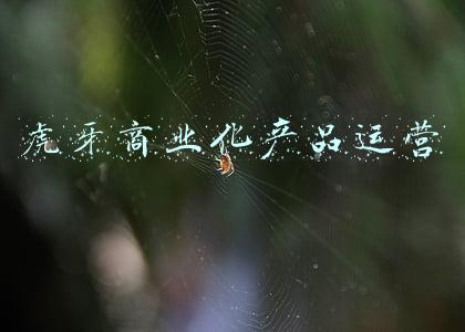虎牙商业化产品运营