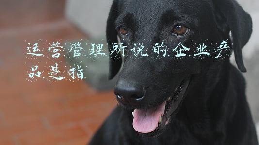 运营管理所说的企业产品是指