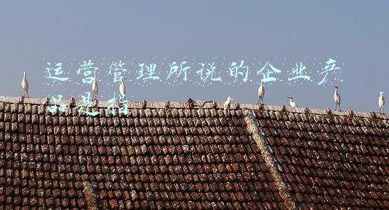 企业所说的bcg(啥是中国互联网特色？阿里、百度、滴滴和BCG一起为你解读)