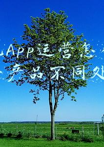 关于app产品的问题有哪些(企业签署APP开发协议时需要注意哪些细节问题？)
