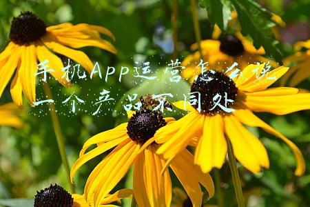 手机app软件开发(安卓开发高薪就业作业配套文档第1章 Android应用开发概述)