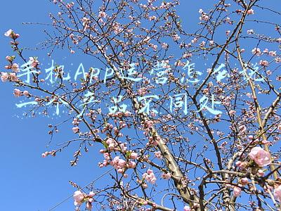 手机app主页设计(在手机发布会上看到的 PPT 设计，也能用在年终总结上)