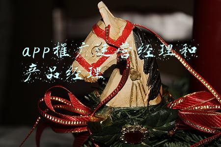 app项目经理(30+项目经理少奋斗10年的职业规划路线)