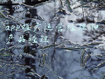 app推广运营策划方案(怎么才能合理地进行APP应用的开发？)