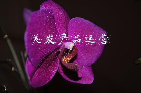 美发产品运营