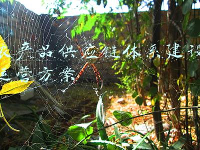 农产品供应链体系建设运营方案