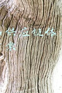 农产品供应链体系建设运营方案