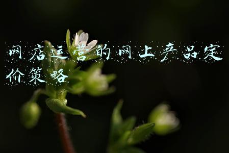 网络营销产品定价(电商销售十大价格谈判策略：让你在顾客询价时成交率提升3倍)