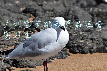 广州字节跳动是做什么的(字节跳动这一年做了什么？这份年终总结给你答案)