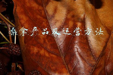 桑拿产品及运营方法