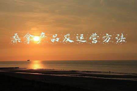 桑拿产品及运营方法