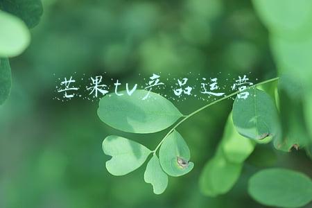 芒果tv产品运营