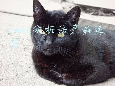 swot分析法产品运营