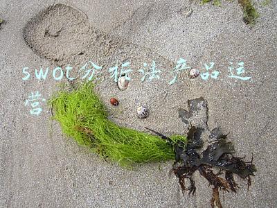 swot分析法案例范文(SWOT分析法详解，简单实用快收藏好！「标杆精益」)