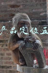 产品定位的五大策略(没有好方法，就很难找准定位：试试STP战略营销定位法)