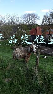 销售产品的定位(定位不准，生存不稳，美容院该如何明确自身的市场定位呢)