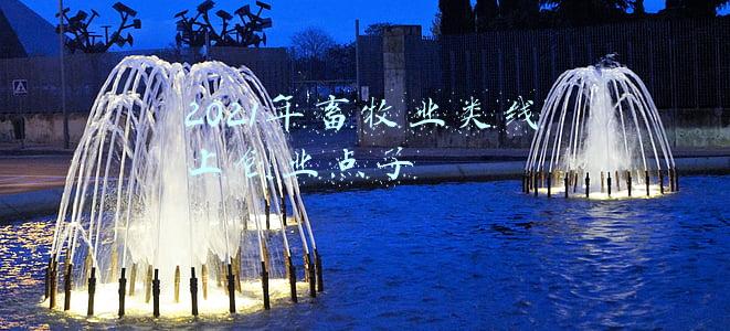 2021年畜牧业发展前景(盘点2021年养猪业五大坏事：猪价暴跌、天灾不断、饲料大涨......)