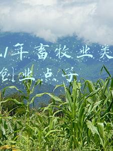 2021年创业养殖什么项目(速看！8大上市禽企2021年成绩一览表)