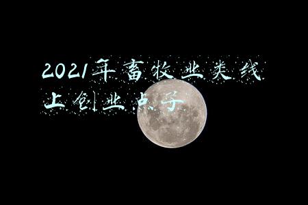 2021年农村养殖业什么最赚(2021智慧养殖领域最具商业合作价值企业盘点)