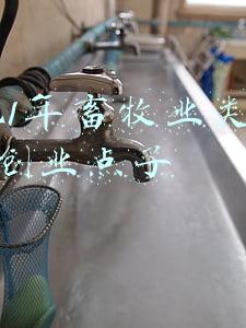 2020年畜牧业发展思路(“如何养殖”考验畜牧业竞争力)
