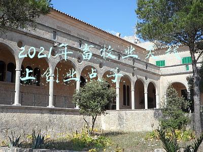 2021年畜牧业工作计划(2021养猪业年中盘点：一大事件，两大政策，三大趋势)