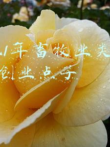 畜牧业类专业(农学有哪些专业？学些什么？园林、园艺、风景园林有什么区别？)