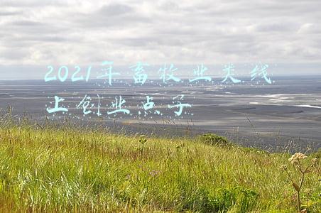 2021年畜牧业类线上创业点子