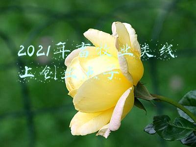 酒店业经营创新点子(新年新气象！做好这100个服务细节的酒店人更容易升值)