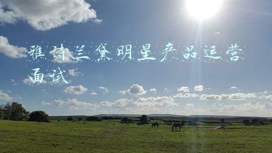 雅诗兰黛明星产品运营面试