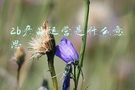 2b营销是什么意思(练为战：专业2B销售成长记)